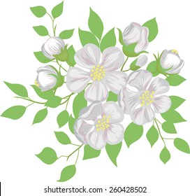 The blossoming apple-tree branch. Vector illustration.