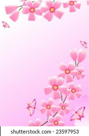 blossoming beautiful cherry and butterflies