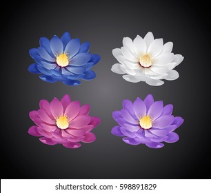 Blossoming beautiful white, pink, blue, purple waterlily or lotus flowers isolated.