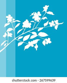 Blossoming branch