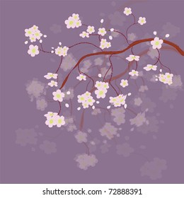 Blossoming branch