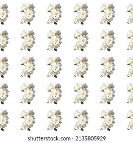 Blossoming branch of an apple tree.Textile seamless pattern on a white background. Vector.  Watercolor..