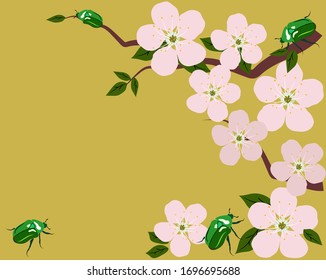 A blossoming branch of cherries and green beetles on a colored background. Vector illustration for site design, cards, banners