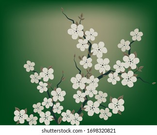 A blossoming branch of cherries on a green background. Vector illustration for the design of cards, wipes, websites, banners
