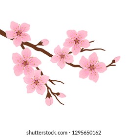 Blossoming branch of a cherry. A tree branch with pink flowers and buds on a white background. Sakura flowers. Vector illustration