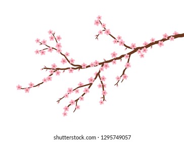 Blossoming branch of a cherry. A tree branch with small pink flowers and buds on a white background. Sakura flowers. Vector illustration