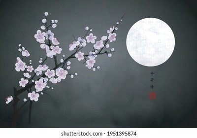 Blossoming branch of oriental cherry and the moon in dark night sky. Traditional oriental ink painting sumi-e, u-sin, go-hua. Sakura plum blossom. Hieroglyphs - peace, tranquility, clarity, silence.