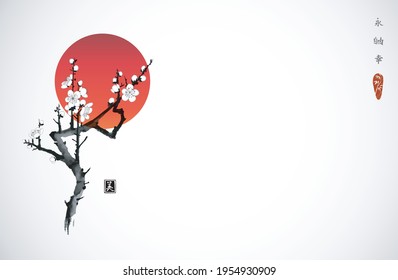 Blossoming branch of oriental sakura cherry and big red sun, symbol of Japan. Traditional Japanese ink wash painting sumi-e. Hieroglyph - Hieroglyphs - eternity, freedom, happiness, beauty.