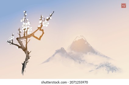 Blossoming branch of oriental sakura cherry and far blue mountains. Traditional Japanese ink wash painting sumi-e. Hieroglyph - cherry blossom.