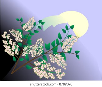 Blossoming branch of tree on mountain moonlight background