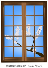 blossoming branch in the window