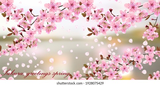 Blossoming branches of Japanese cherry and falling petals on the blurred background of a river, postcard, banner. Pink Sakura texture, EPS 10, vector