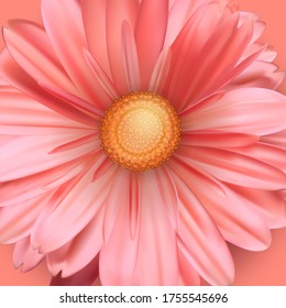 El brote floreciente de flor se acerca. Flor rosada. Ilustración vectorial 3D.