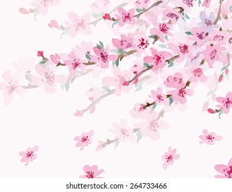 Blossoming cherry branch isolated on a white background. Watercolor Spring background. Vector illustration