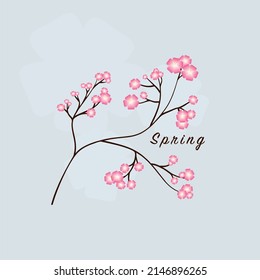 Blossoming cherry branch. Sakura. Spring background.