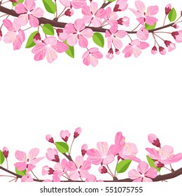 Blossoming cherry spring background. Apple tree of branch flowers and buds frame for text. Cartoon style vector illustration