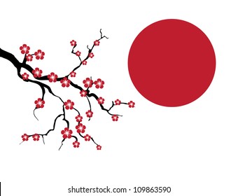 Blossoming cherry tree branch against a red sun. vector