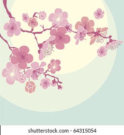 Blossoming Cherry Tree. sakura blossom. almond flowers