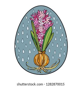 Blossoming hyacinth with bulb, under the rain. Colored illustration in egg shaped, Easter thematic. Vector design element.