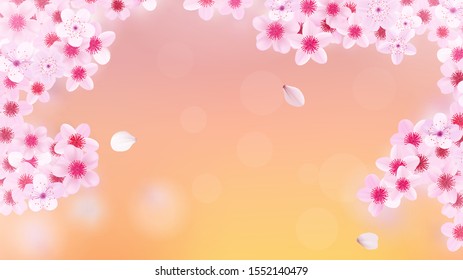 Blossoming light pink sakura flowers. Beautiful print with place for text. Realistic cherry flowers. Vector illustration.