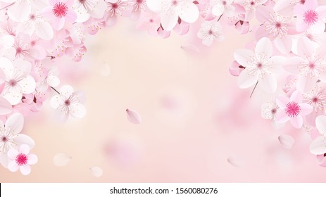 桜 花びら 透過 High Res Stock Images Shutterstock