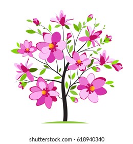 Blossoming magnolia tree on white background