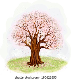 Blossoming old tree in the meadow