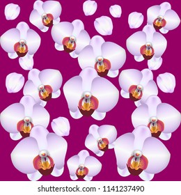 Blossoming orchid pattern. Flowers and buds of an orchid
