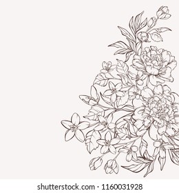 Blossoming peony flowers on white with wildflowers. Vector illustration. Perfect for background greeting cards and invitations of the wedding, birthday, Valentine's Day, Mother's Day.