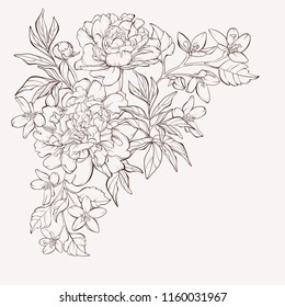 Blossoming peony flowers white and wildflowers  Vector illustration  Perfect for background greeting cards   invitations the wedding  birthday  Valentine's Day  Mother's Day 