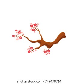 Blossoming pink cherry tree, sakura branch, cartoon style vector illustration isolated on white background. Cartoon style branch of cherry, sakura tree with pink blossoms, symbol of Japanese culture