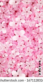 Blossoming pink sakura flowers background. Beautiful print