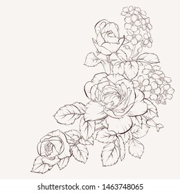 Blossoming rose  flowers with alpine flowers forget me not on white. Vector illustration. Perfect for background greeting cards and invitations of the wedding, birthday, Valentine's Day, Mother's Day.