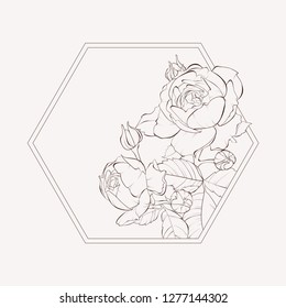 Blossoming rose flowers at hexagon geometric shape. Vector illustration. Perfect for background greeting cards and invitations of the wedding, birthday, Valentine's Day, Mother's Day.