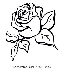 275,402 Sketched roses Images, Stock Photos & Vectors | Shutterstock