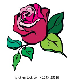 blossoming rose symbol, sketch, line drawing, color logo, vector 