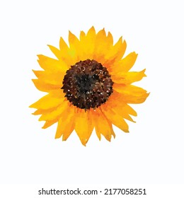 Blossoming sunflower isolated on white background. Realistic  illustration. Hand drawn watercolor. Hand painted vector Clip art. Template.