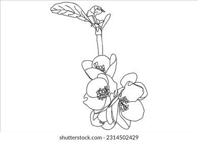 a blossoming tree branch is drawn in black outline, it is intended for print, postcard, tattoo, logo, March 8, Valentine and you can use it in different cases.