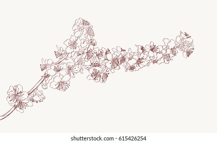 blossoming tree branch hand drawing sketch. spring stylish background with flowers vector