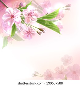 Blossoming tree branch with pink flowers  on bokeh background. Vector illustration