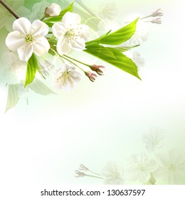 Blossoming tree branch with white flowers on bokeh green background. Vector illustration