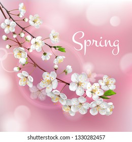 Blossoming tree branches. Spring template