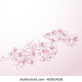 blossoming tree line art hand drawn illustration. spring stylish horizontal background with pink plum flowers vector