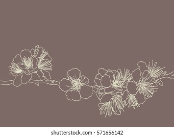 Blossoming Tree Line Art Hand Drawing. Spring Stylish Background With Sakura Flowers Outline Vector