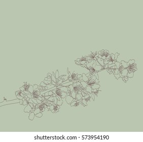 blossoming tree line art hand drawing. spring stylish background with flowers outline vector