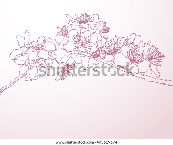 ブローズの木のラインアート手描きのイラスト ピンクの梅の花のベクター画像の春の背景 のベクター画像素材 ロイヤリティフリー