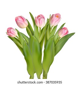 Blossoming tulips decorative border over white background with space for text. EPS 10 vector file included