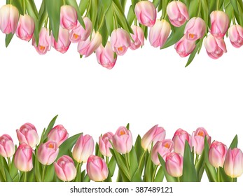 Blossoming tulips decorative border over white background with copy space. EPS 10 vector file included