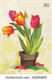 Blossoming Tulips. Spring beautiful design. Vector floral postcard with tulip flowers plant in a brown ceramic pot on light background, eps8