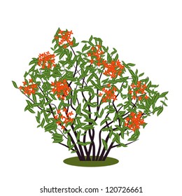 Blossoming vector bush